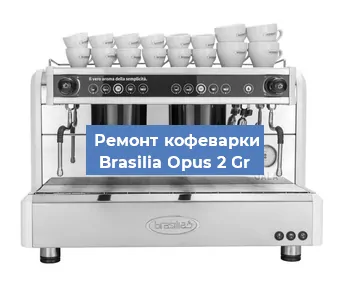 Замена прокладок на кофемашине Brasilia Opus 2 Gr в Екатеринбурге